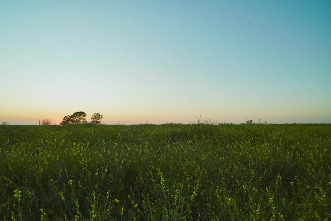 Post de Adecoagro