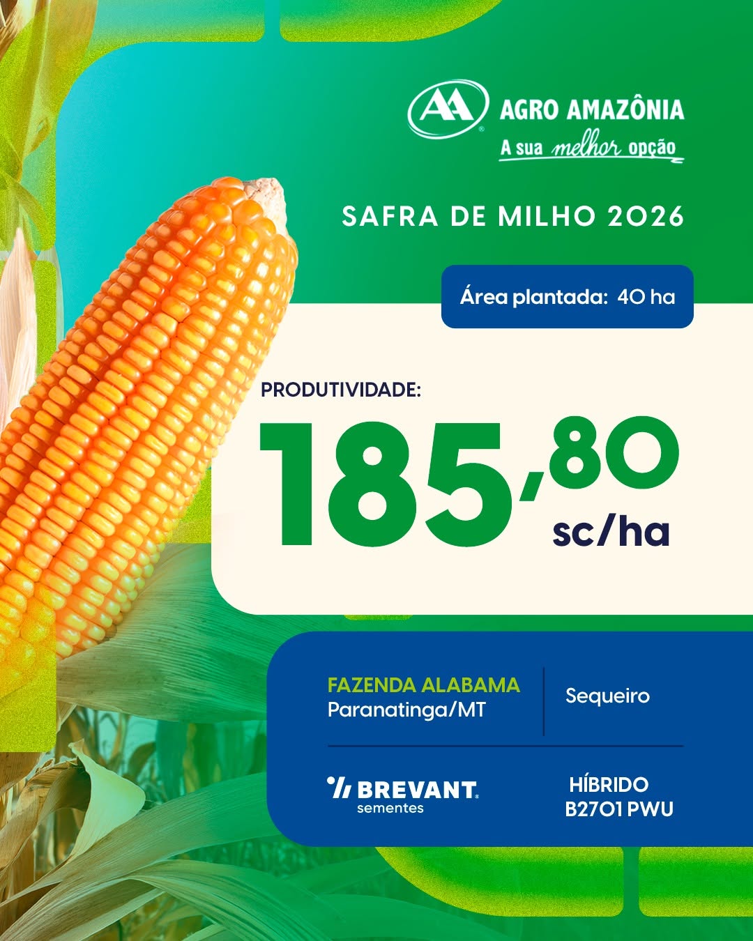 Post de Agro Amazônia