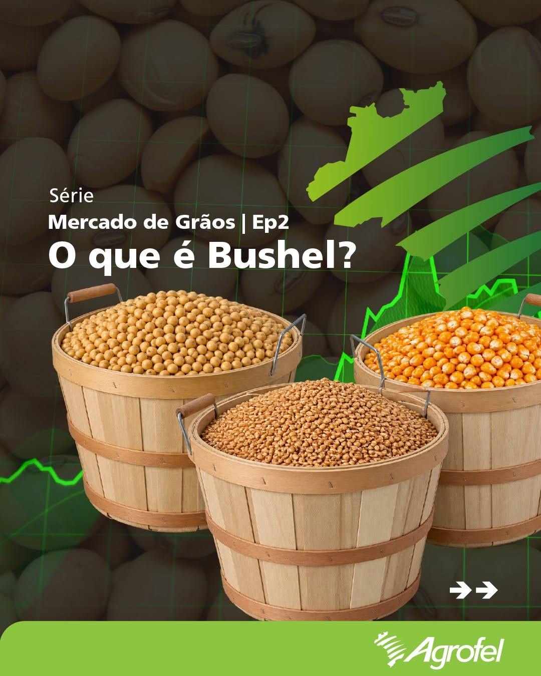 Post de Agrofel