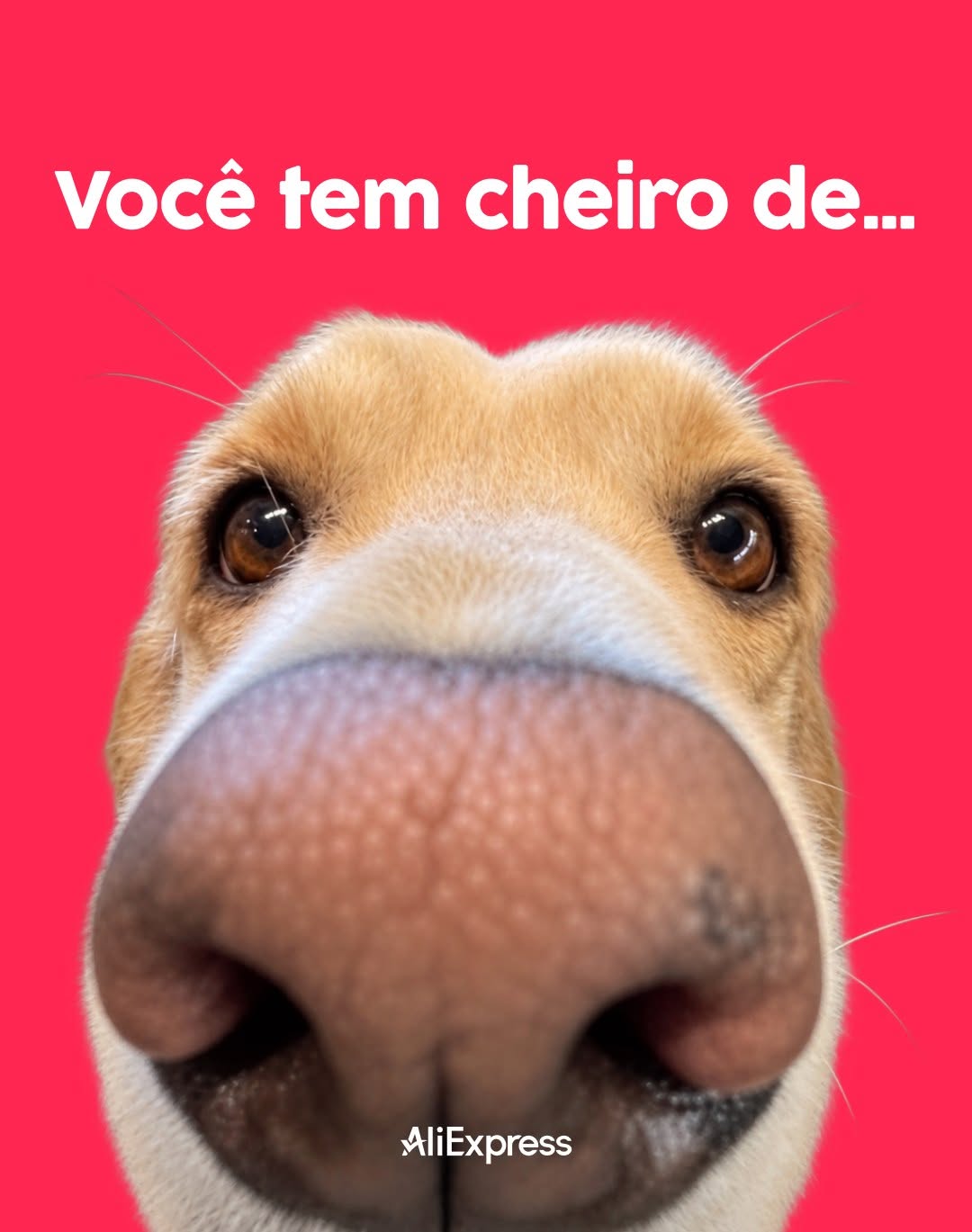 Post de AliExpress