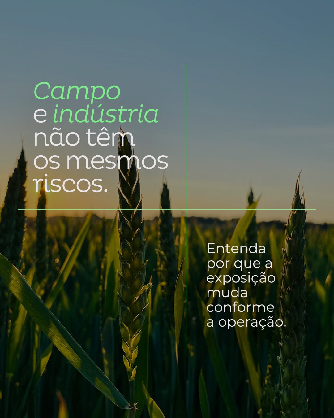 Post de Alper Seguros