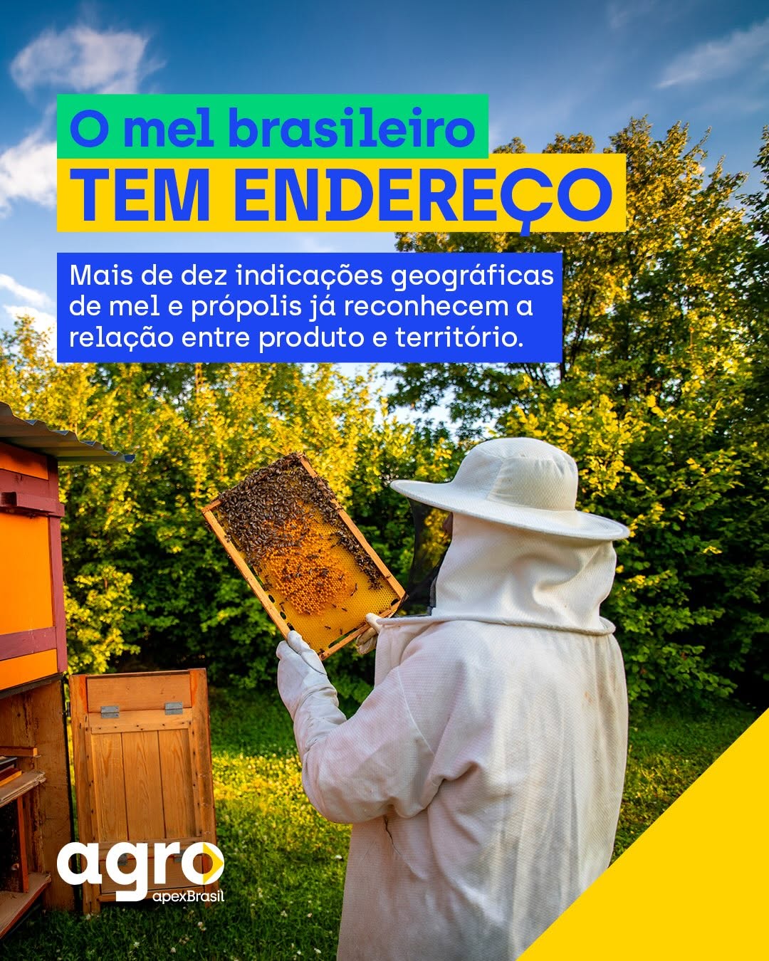 Post de Apex Brasil