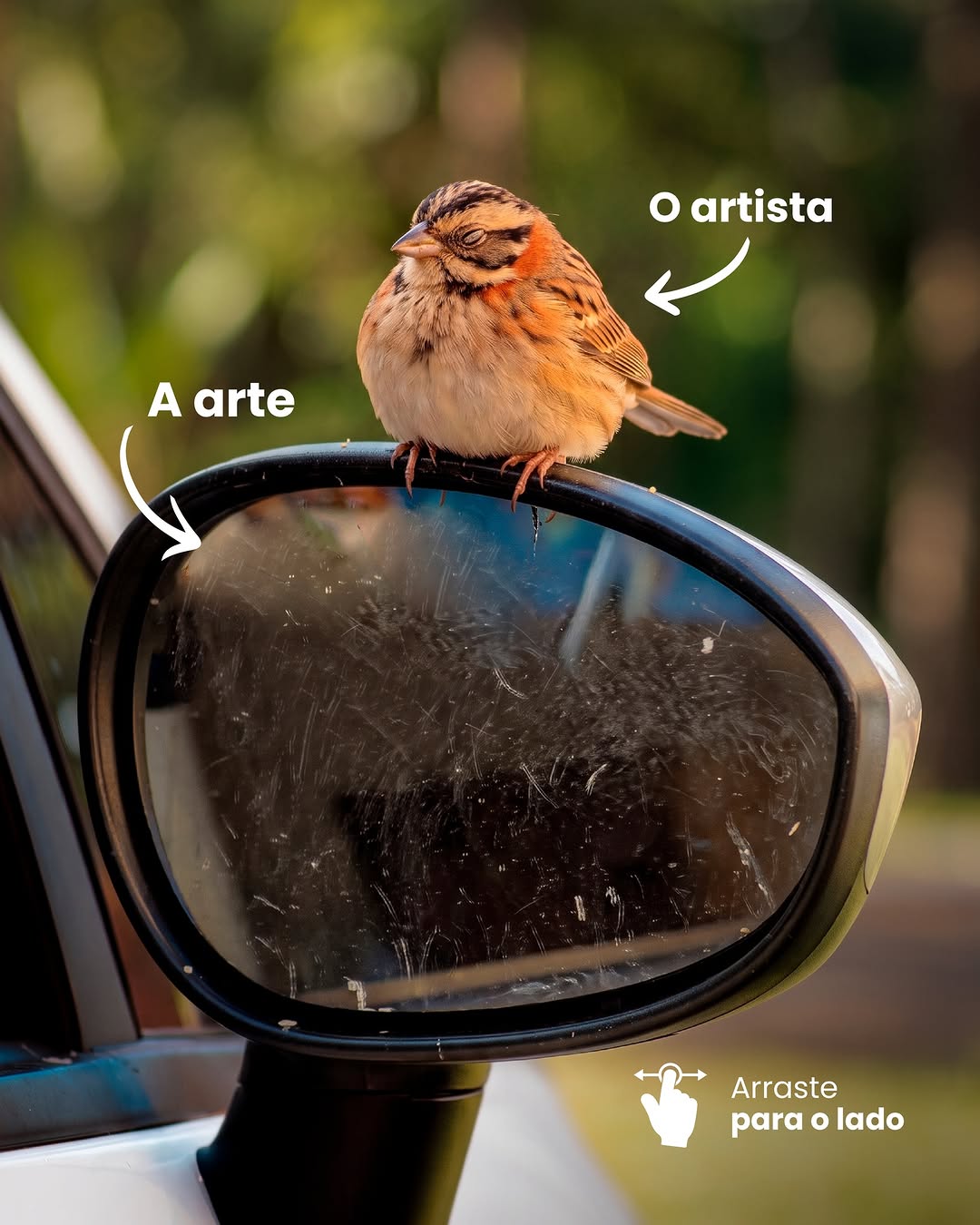Post de Autoglass