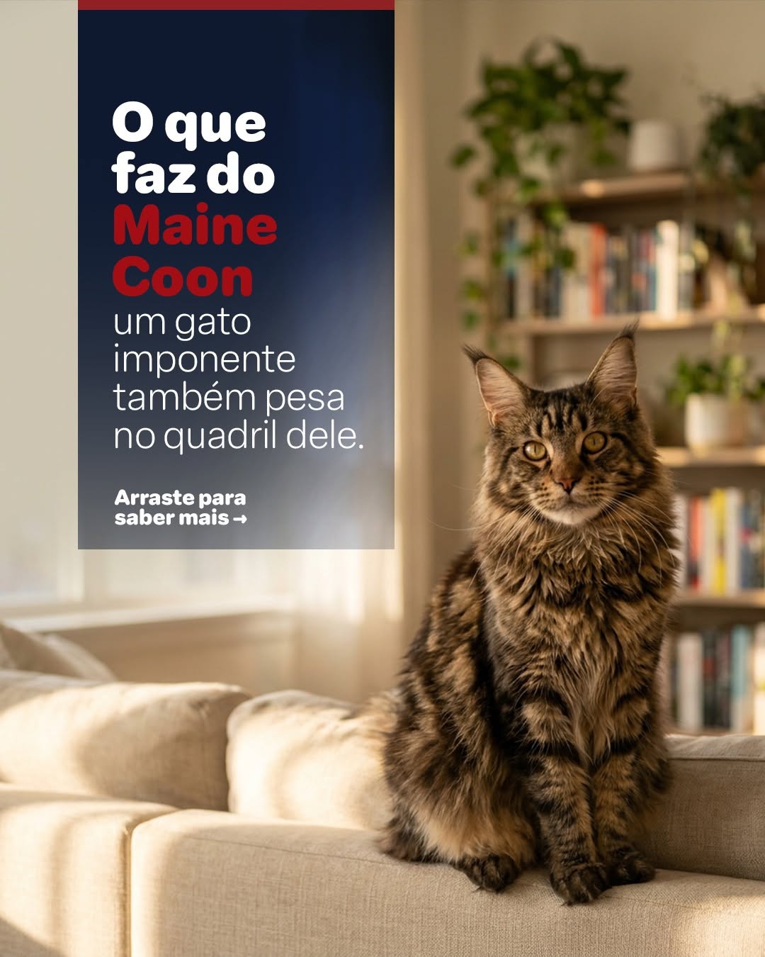 Post de Avert Saúde Animal