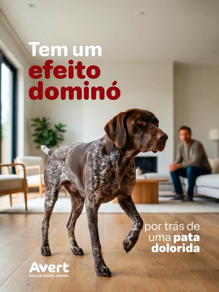 Post de Avert Saúde Animal