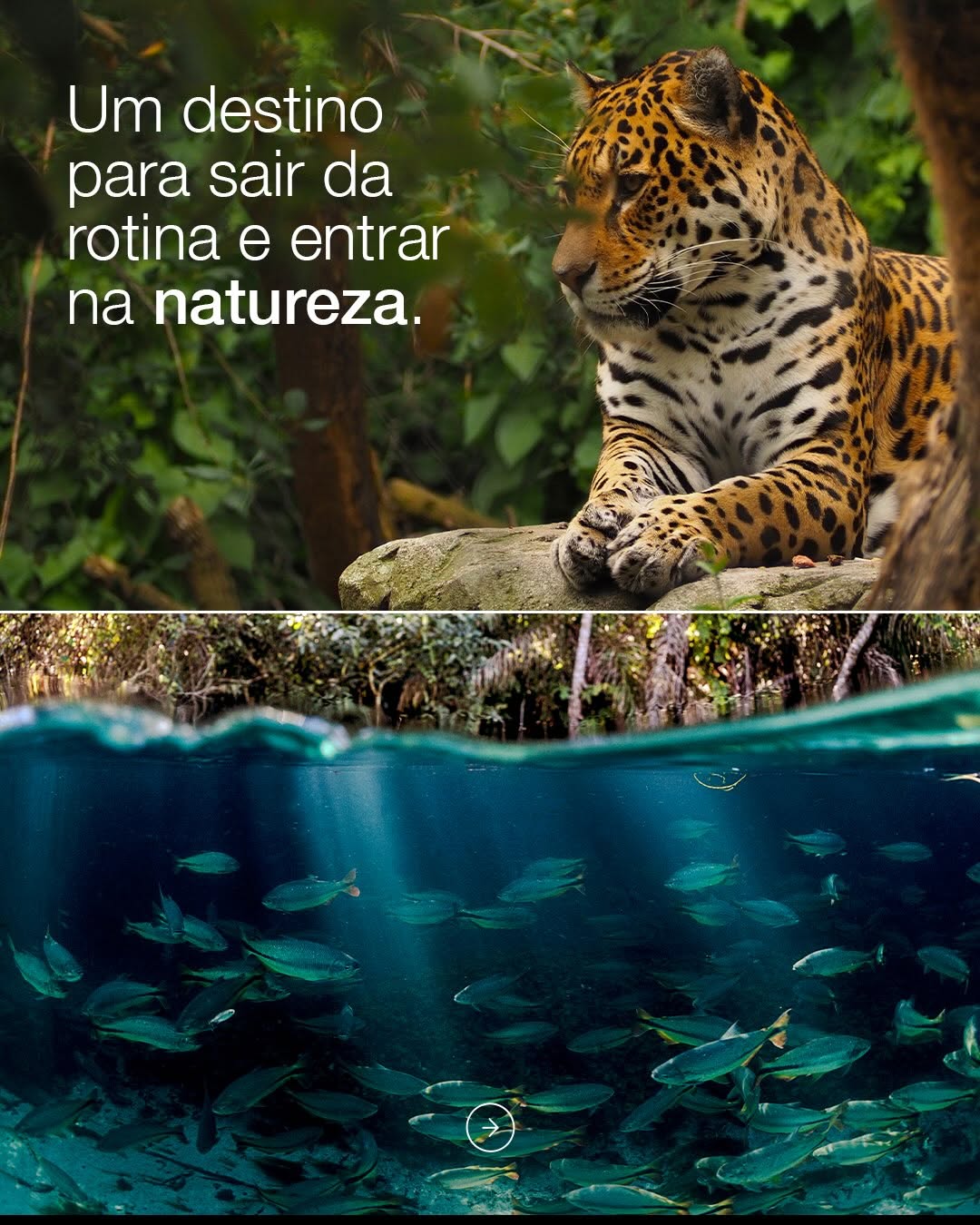 Post de Azul