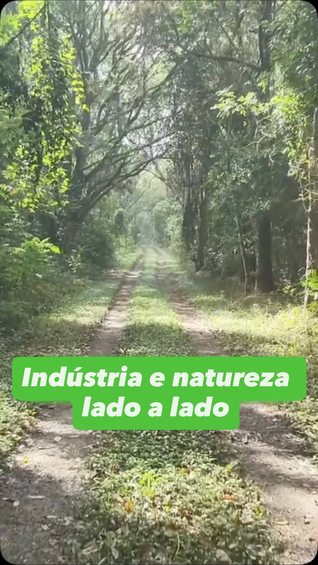 Post de Basf