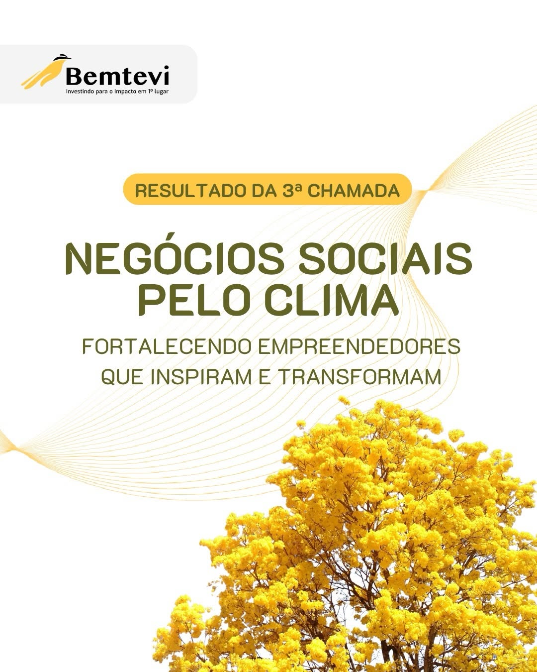 Post de Bemtevi Negócios Sociais