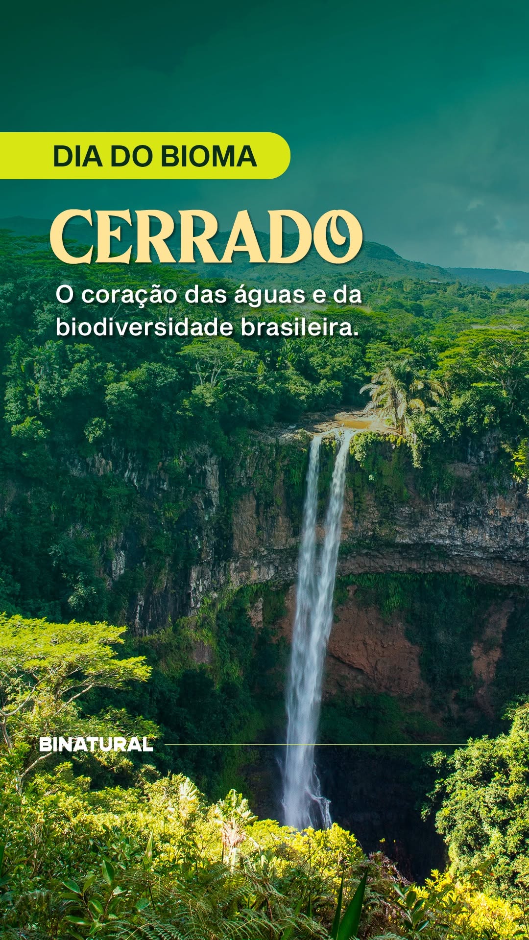 Post de Binatural