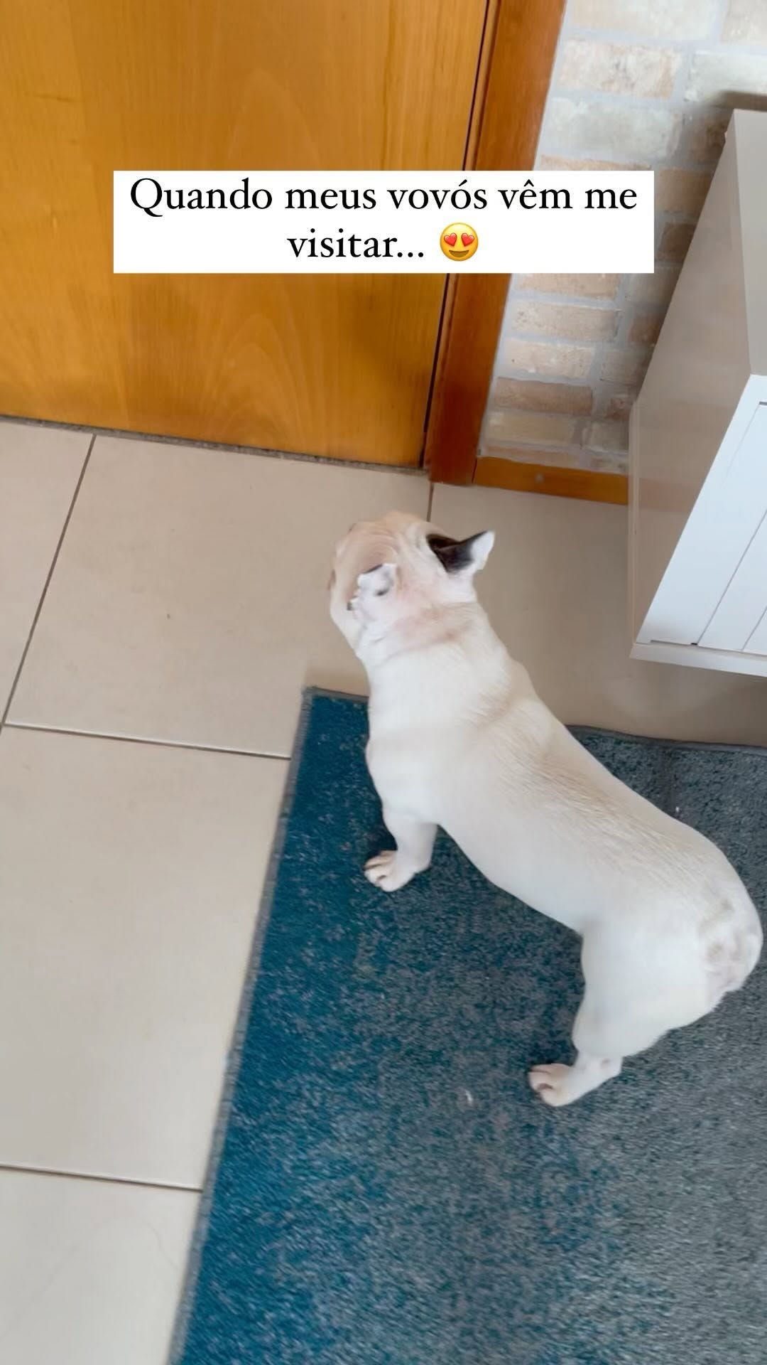 Post de Bono