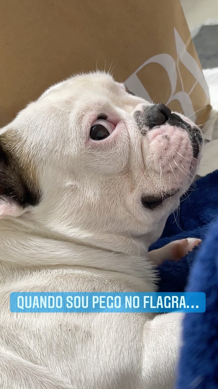 Post de Bono