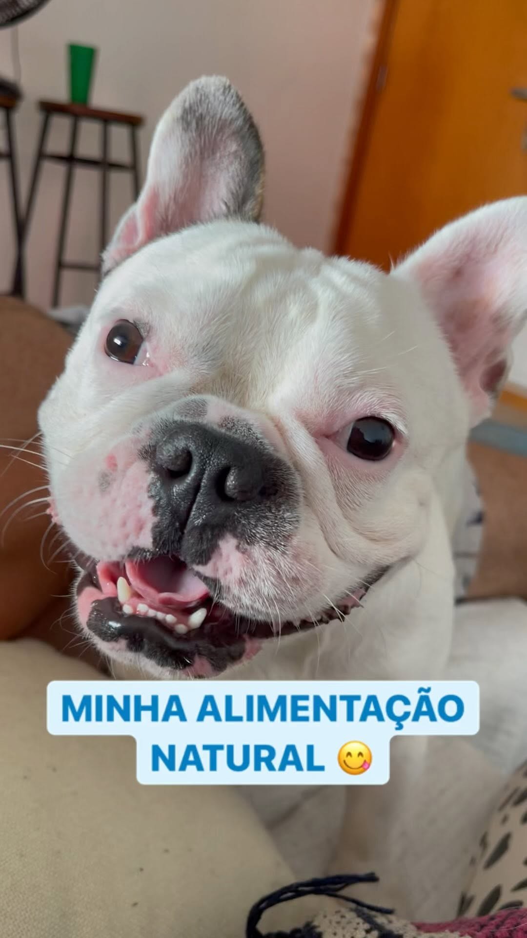 Post de Bono