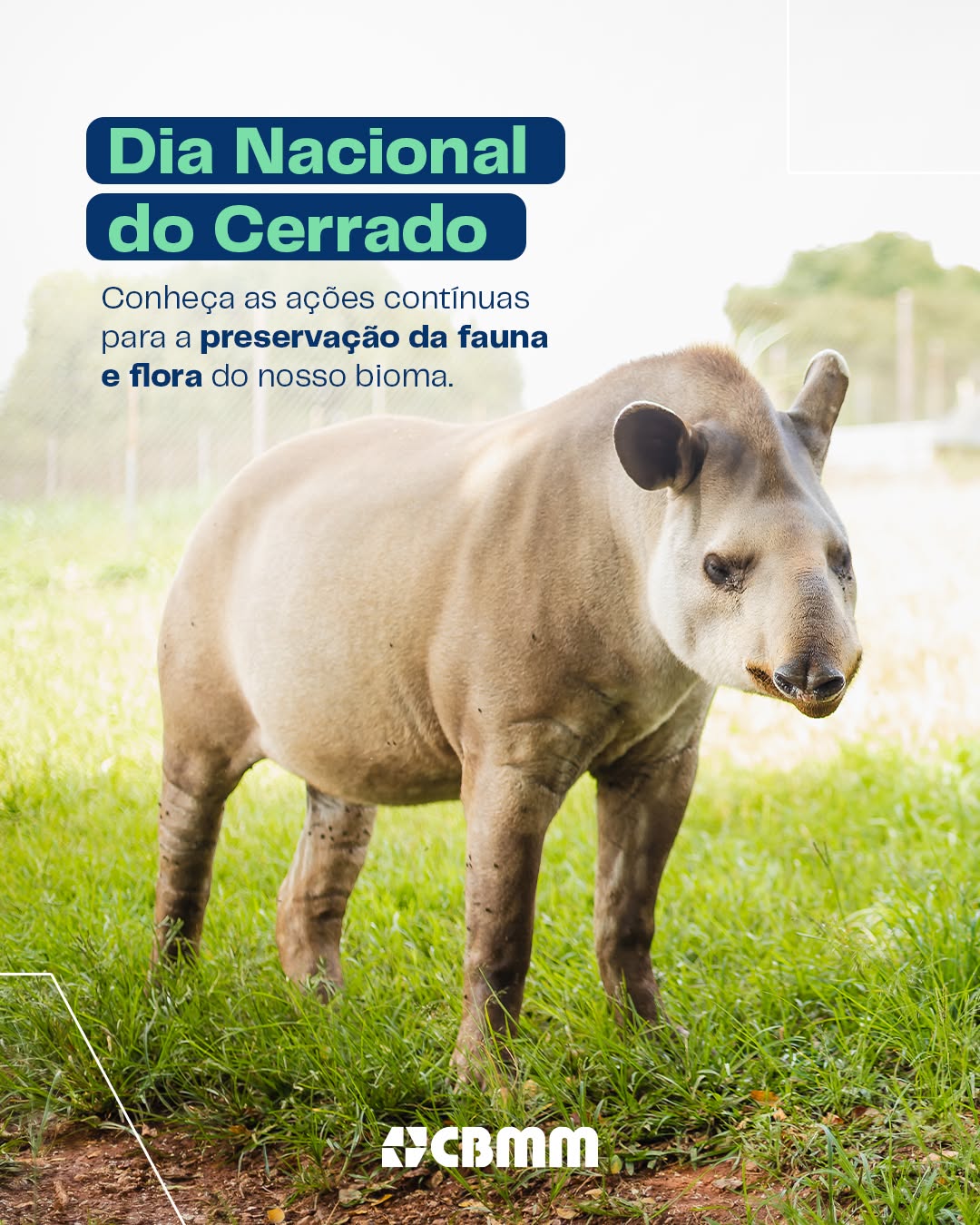 Post de Cbmm
