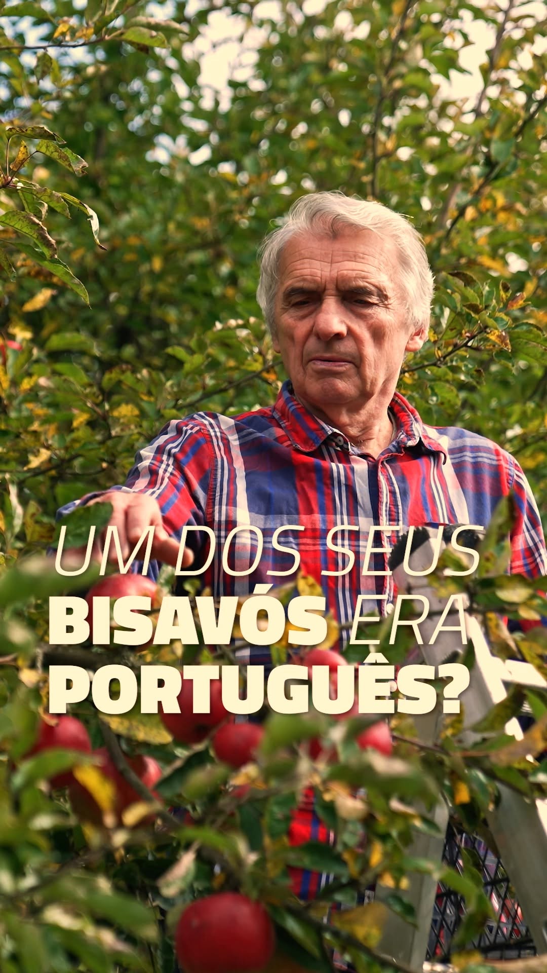 Post de Cidadania 4u