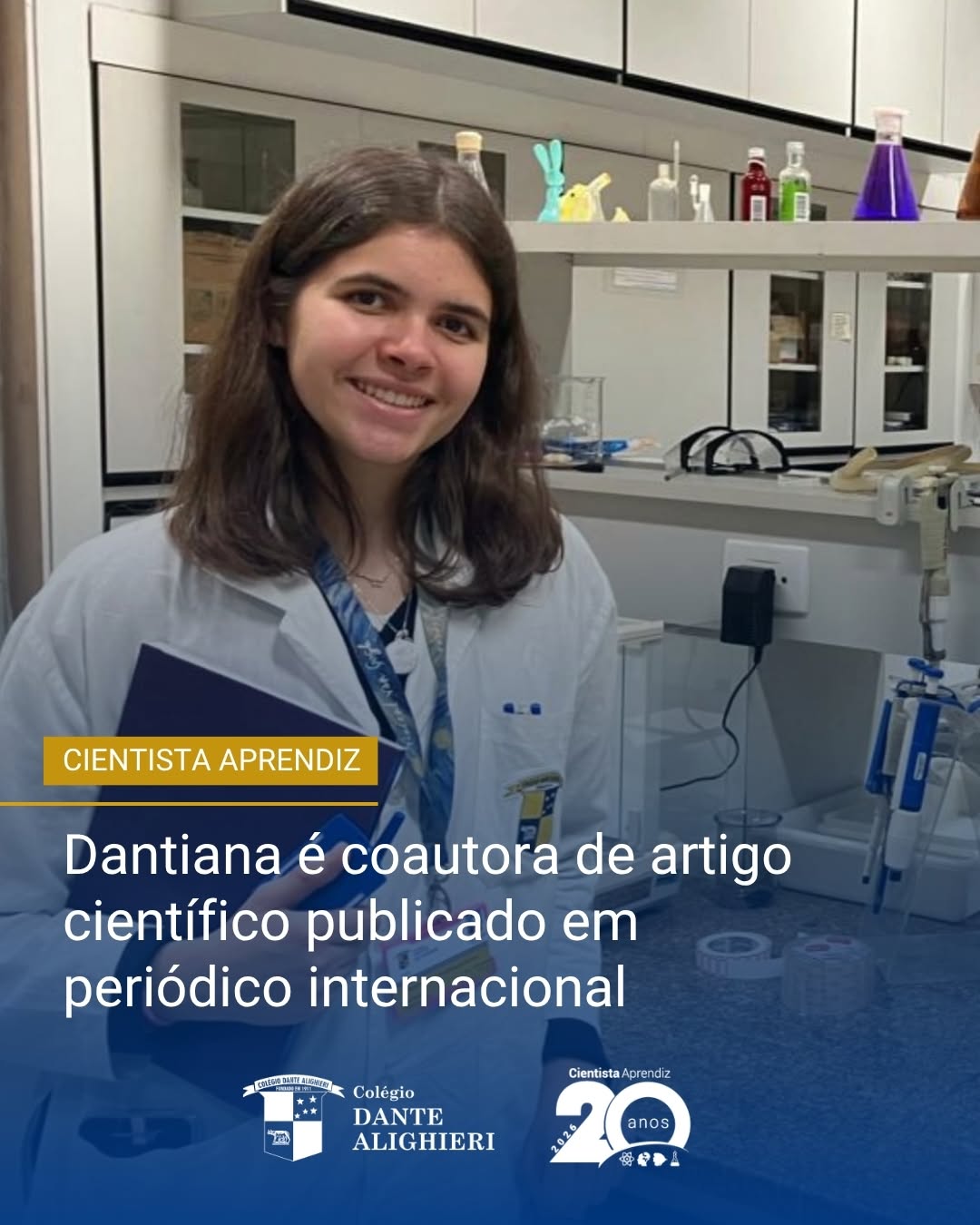 Post de Colegio dante