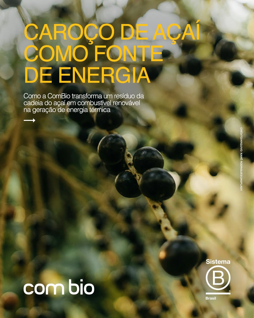 Post de ComBio Energia S.A.
