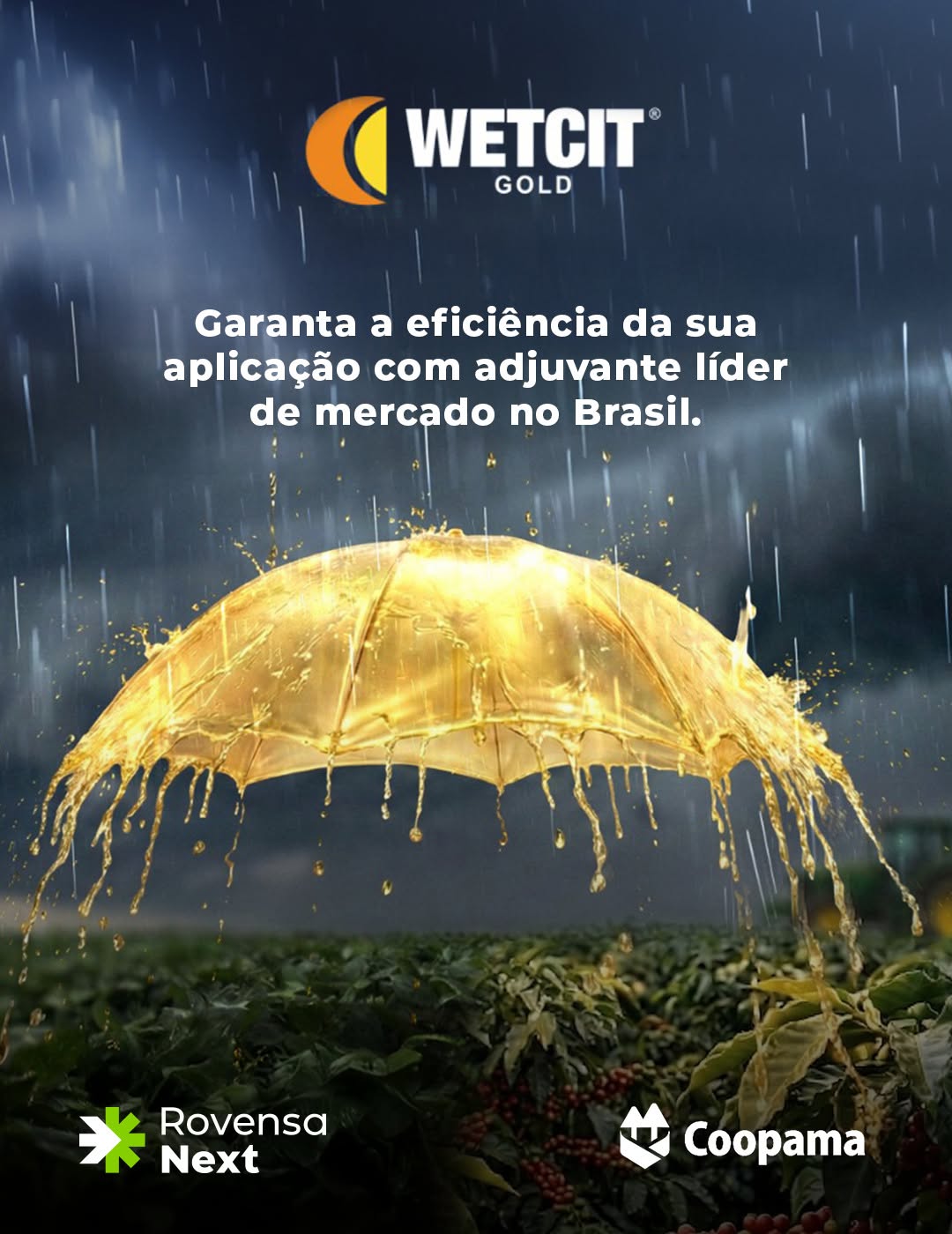 Post de Coopama