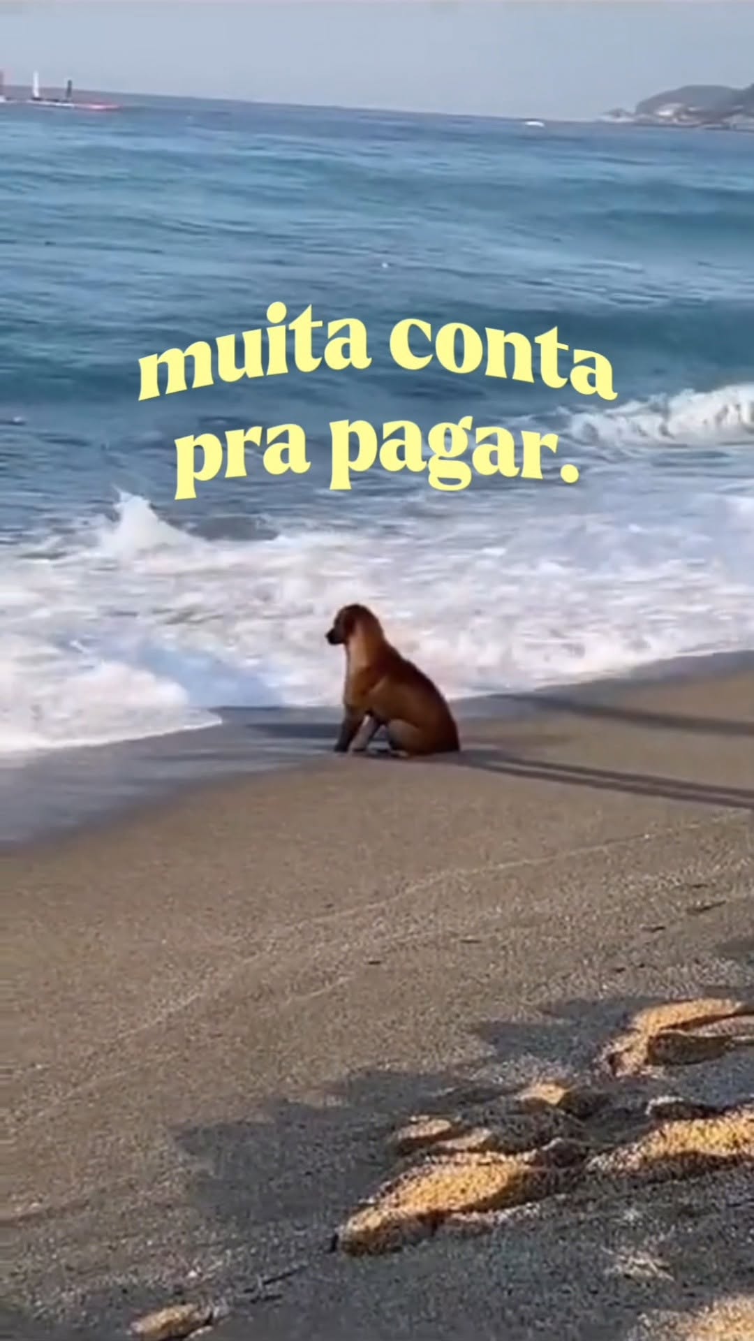 Post de Creditas