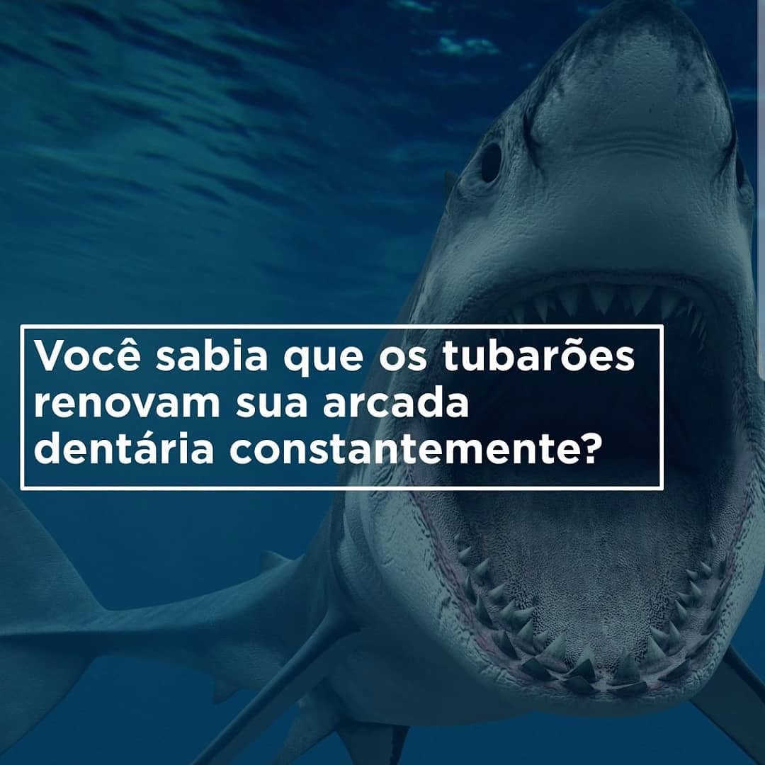Post de Cuide-se Bem