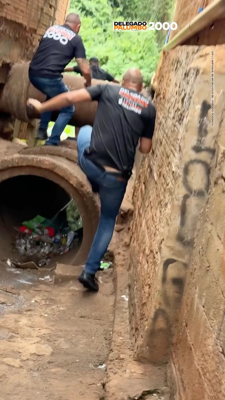 Post de Delegado Palumbo