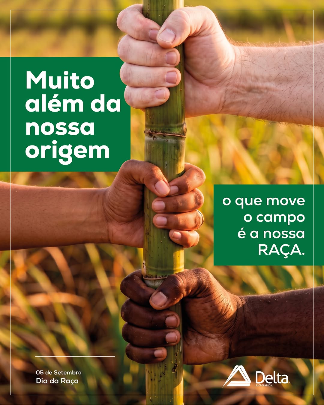 Post de Delta Sucroenergia