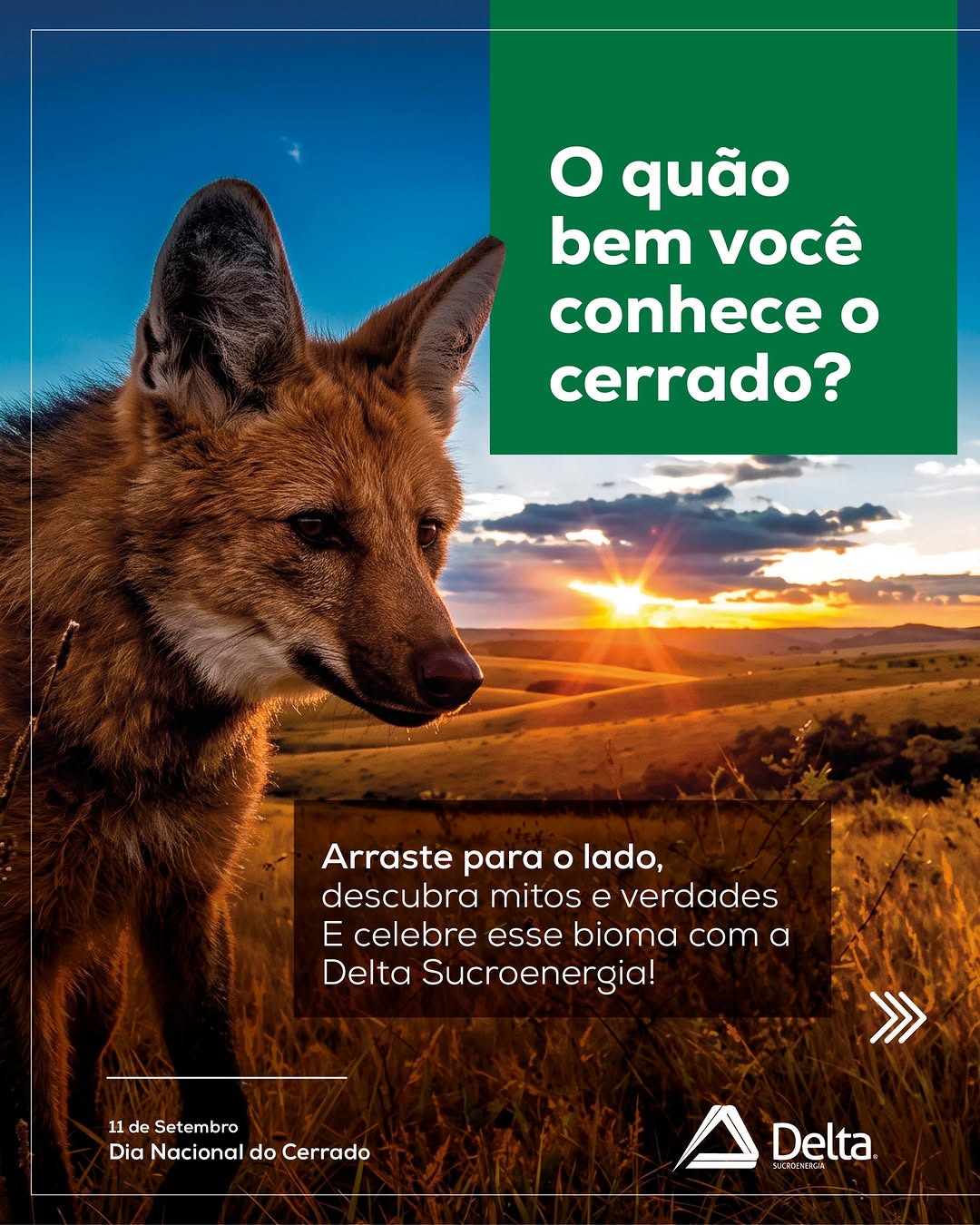 Post de Delta Sucroenergia