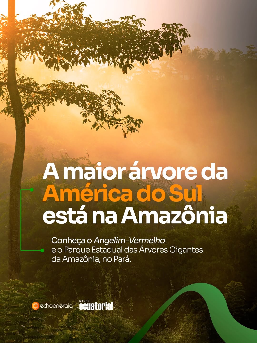 Post de Echoenergia