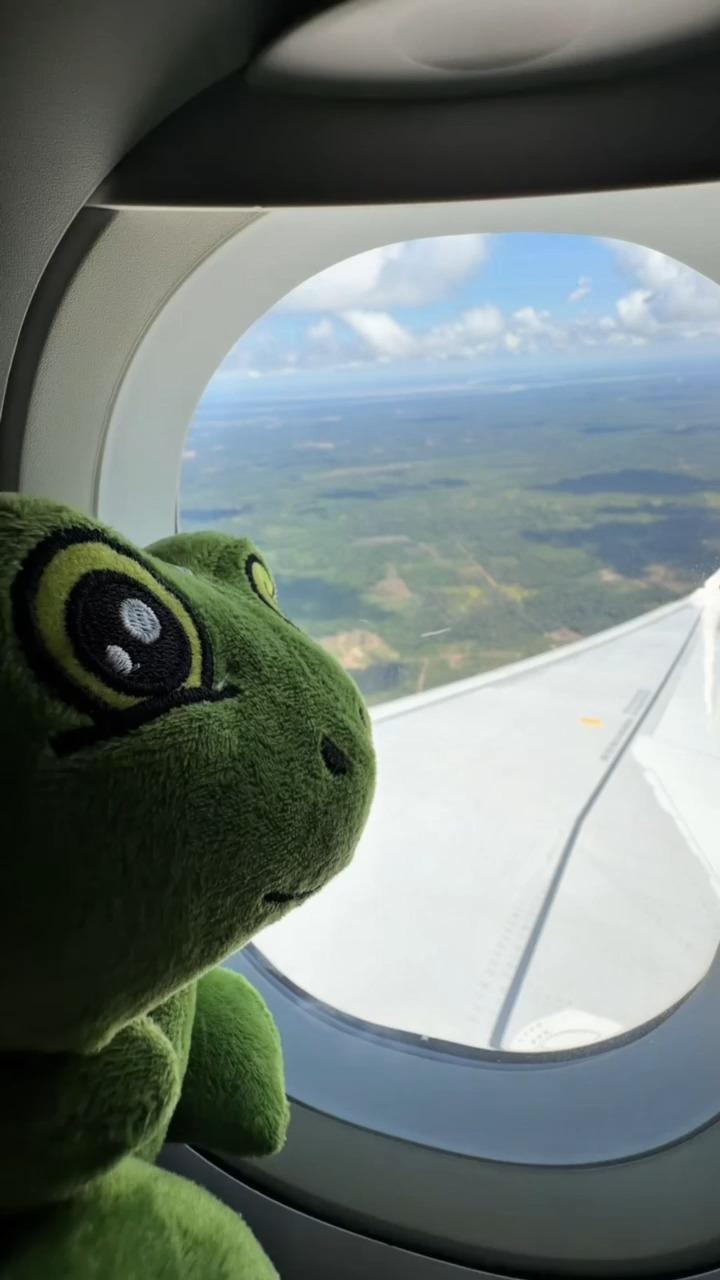 Post de Frog