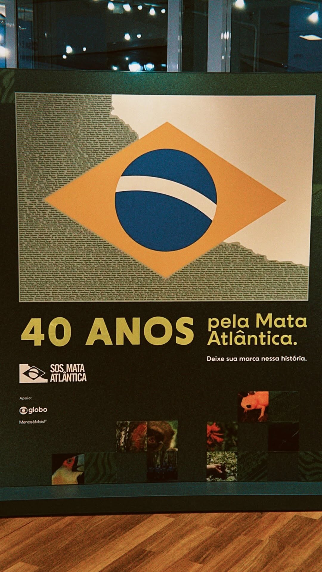 Post de Fundação SOS Mata Atlântica