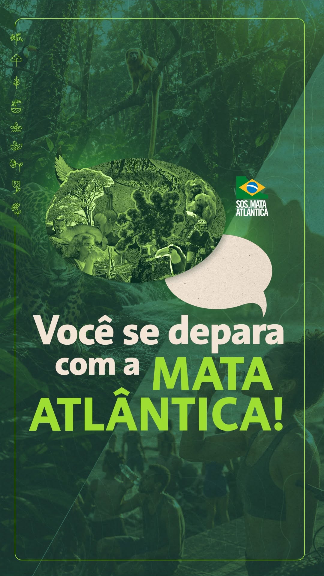Post de Fundação SOS Mata Atlântica