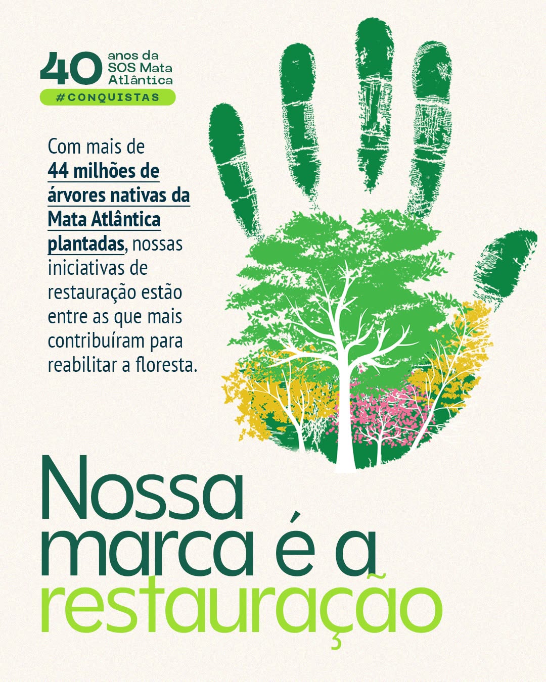 Post de Fundação SOS Mata Atlântica