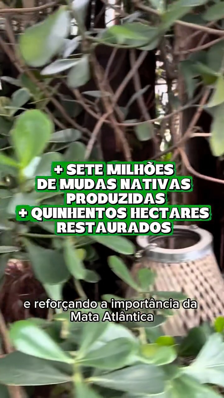 Post de Fundação SOS Mata Atlântica