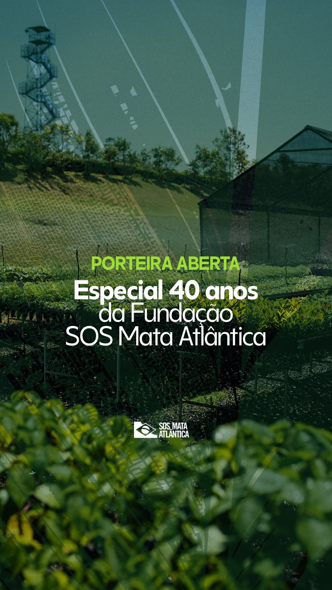 Post de Fundação SOS Mata Atlântica