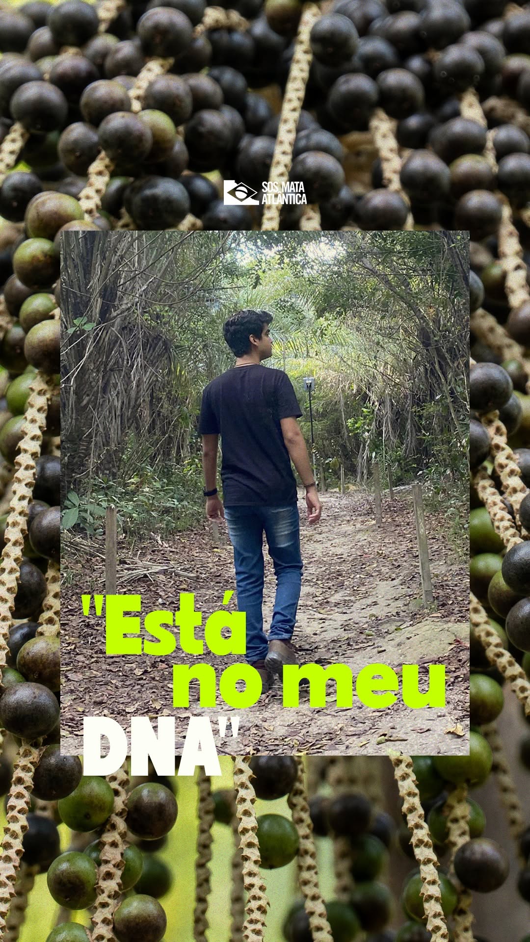 Post de Fundação SOS Mata Atlântica