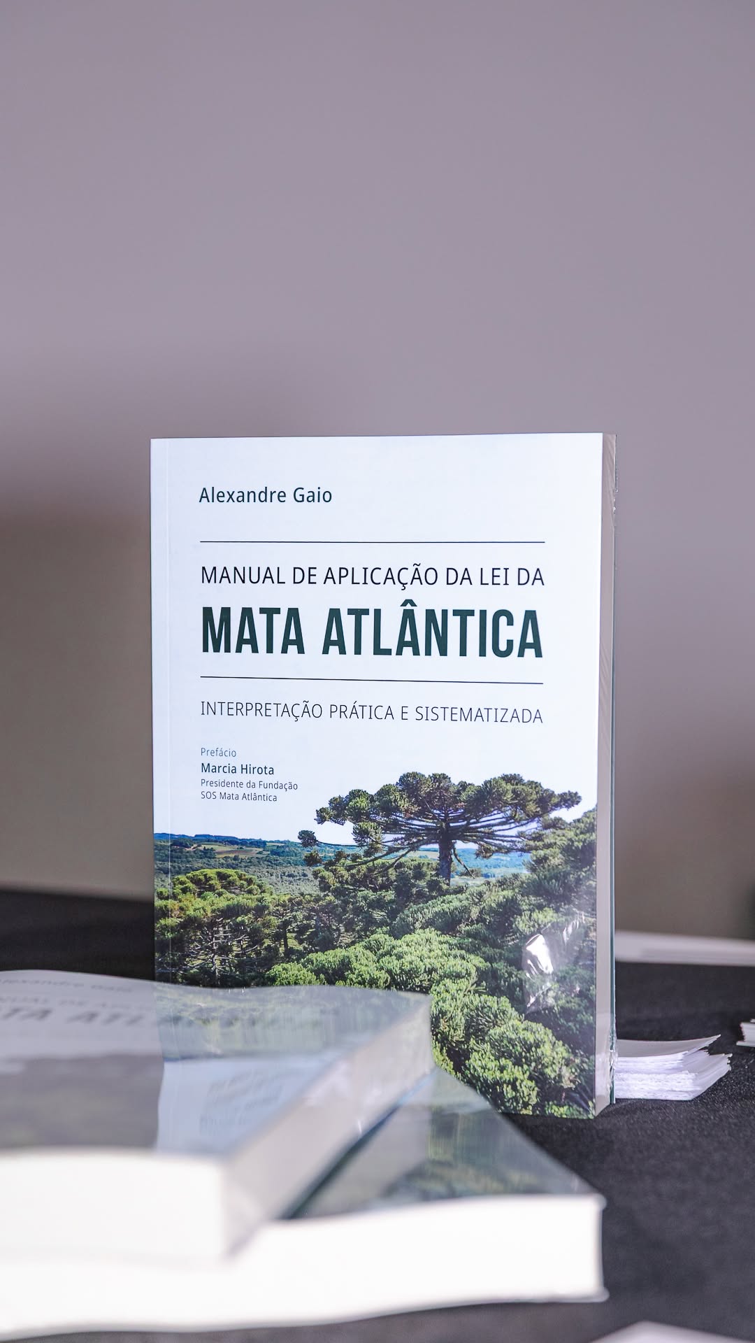 Post de Fundação SOS Mata Atlântica