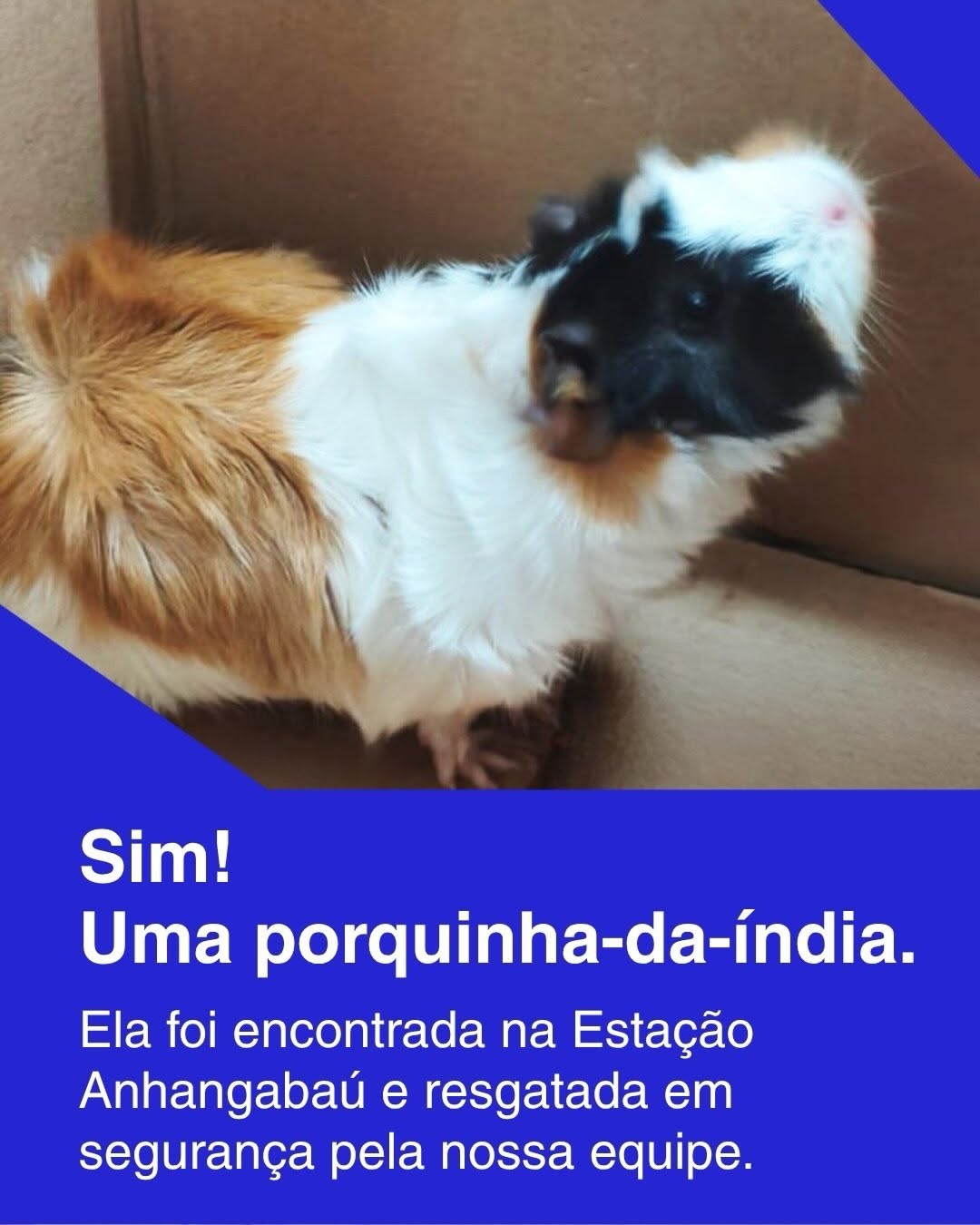 Post de Governo de São Paulo - Metrô