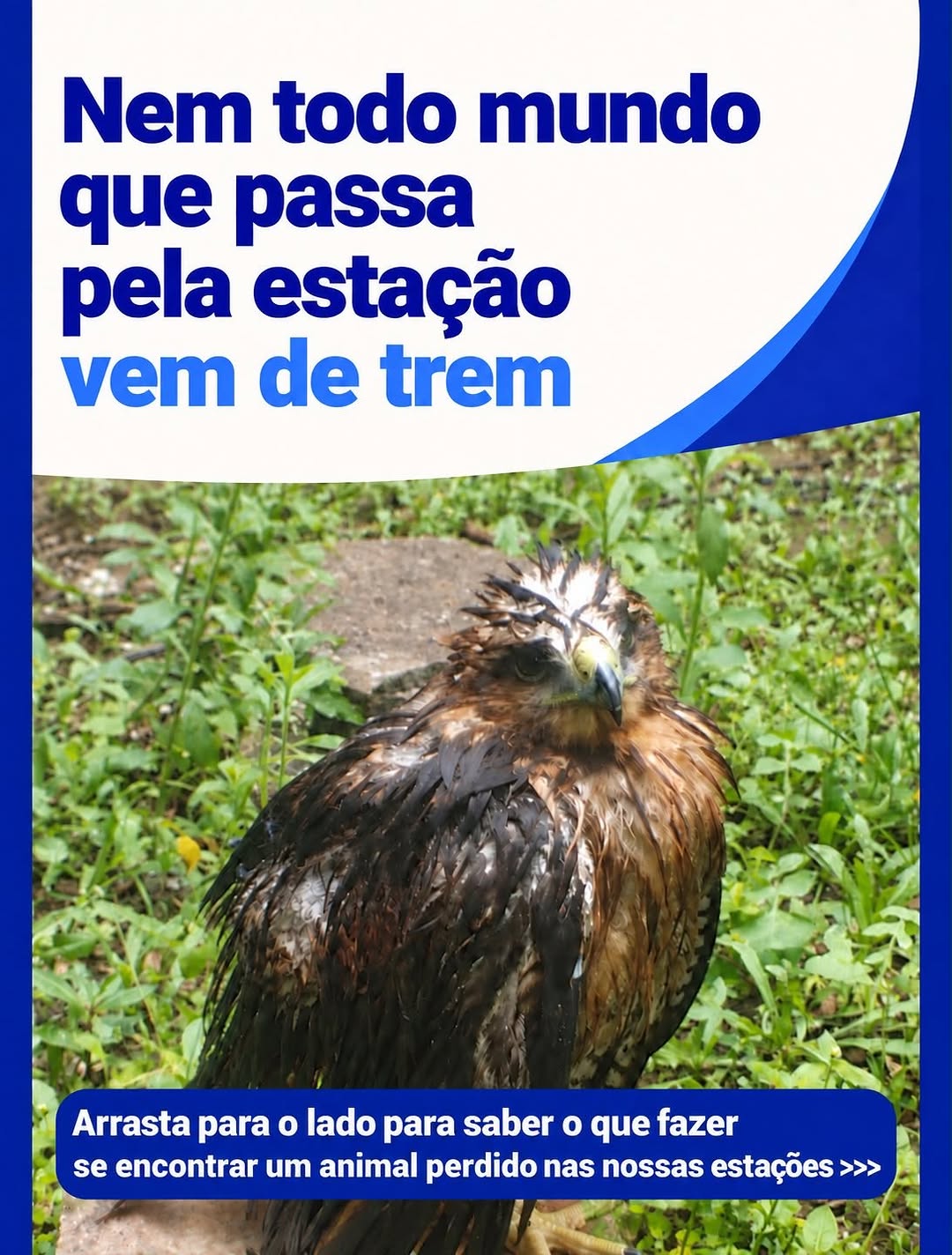 Post de Governo de São Paulo - Metrô