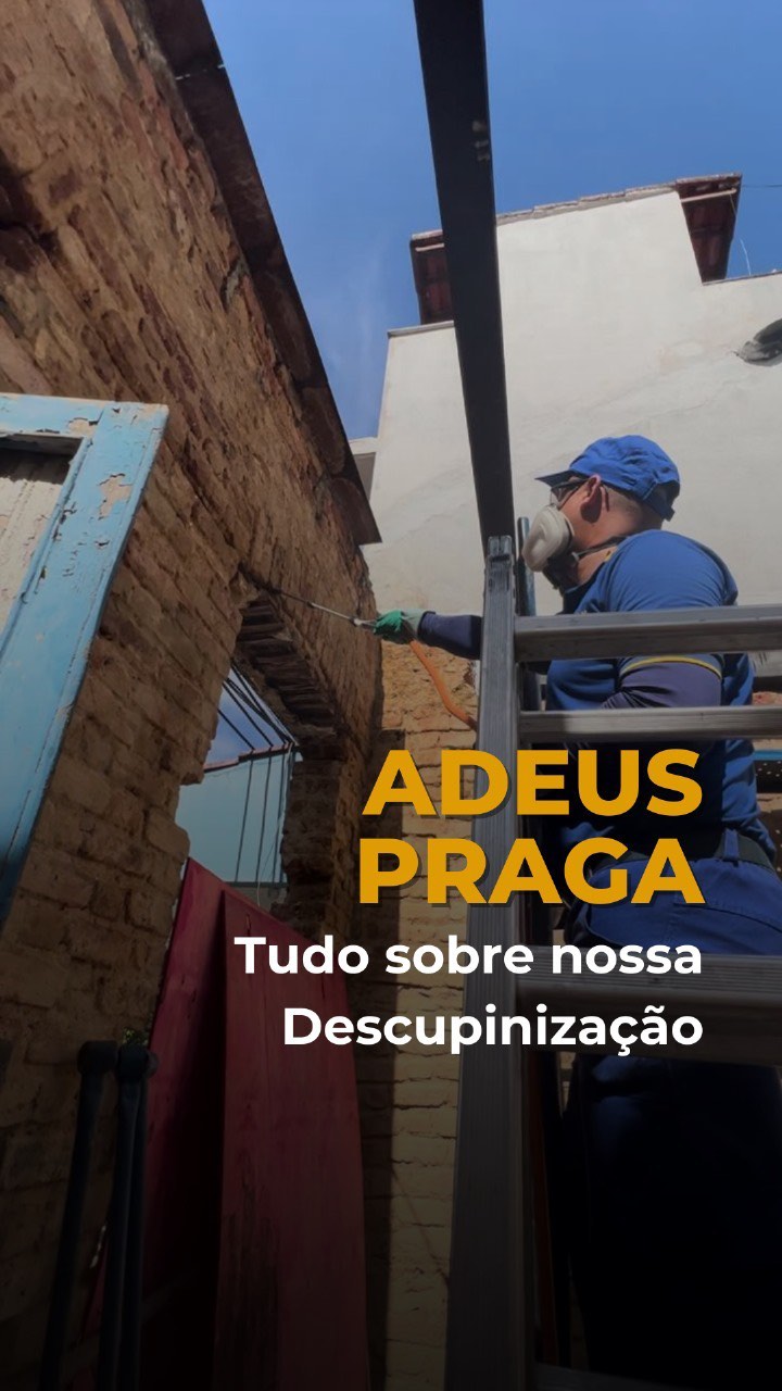 Post de Insetisan