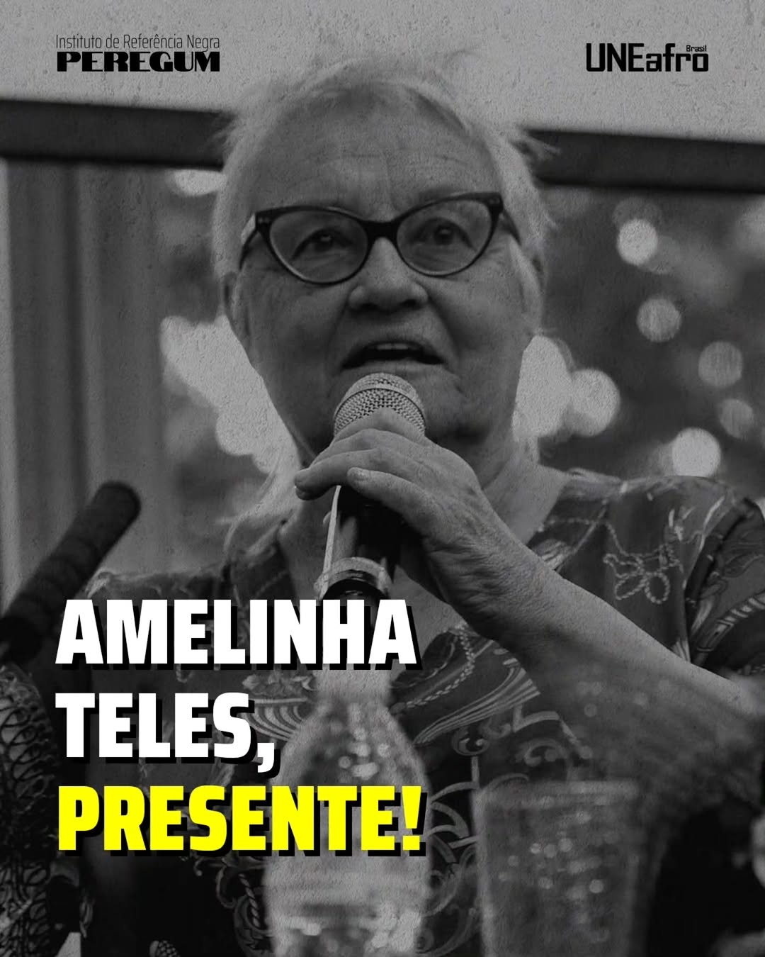 Post de Instituto de Referência Negra Peregum