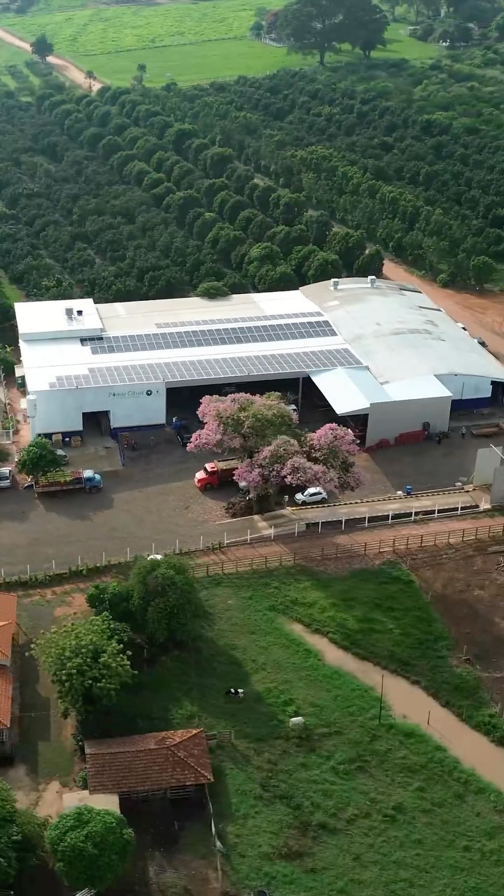 Post de Jagrao Brazil