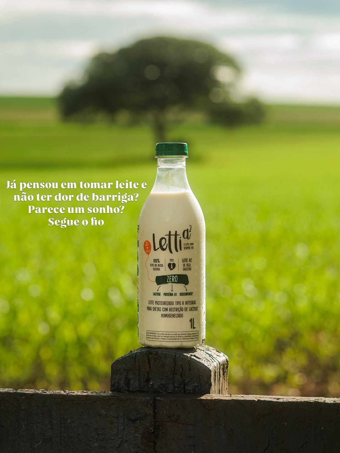Post de Leiteletti