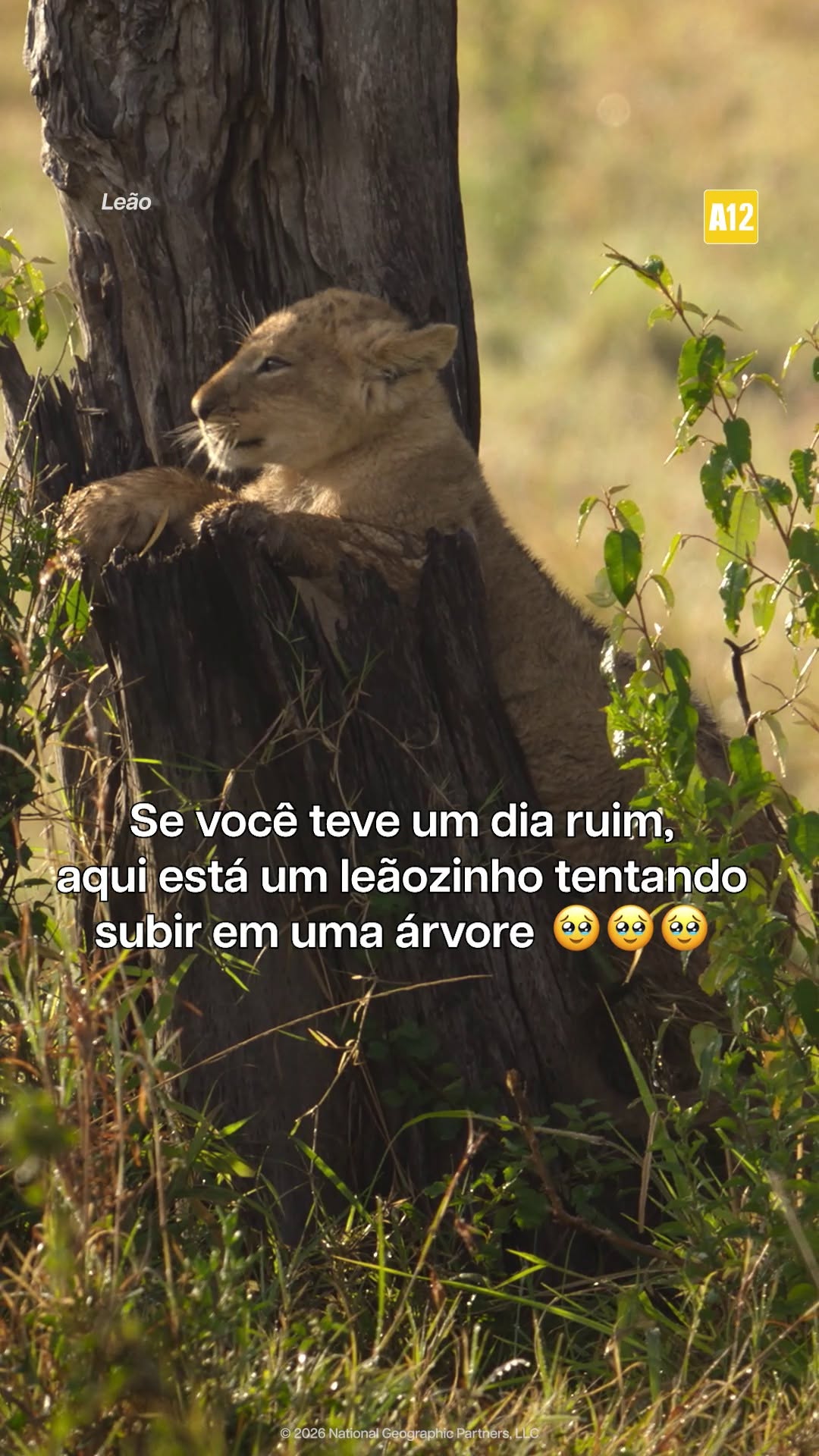 Post de National Geographic