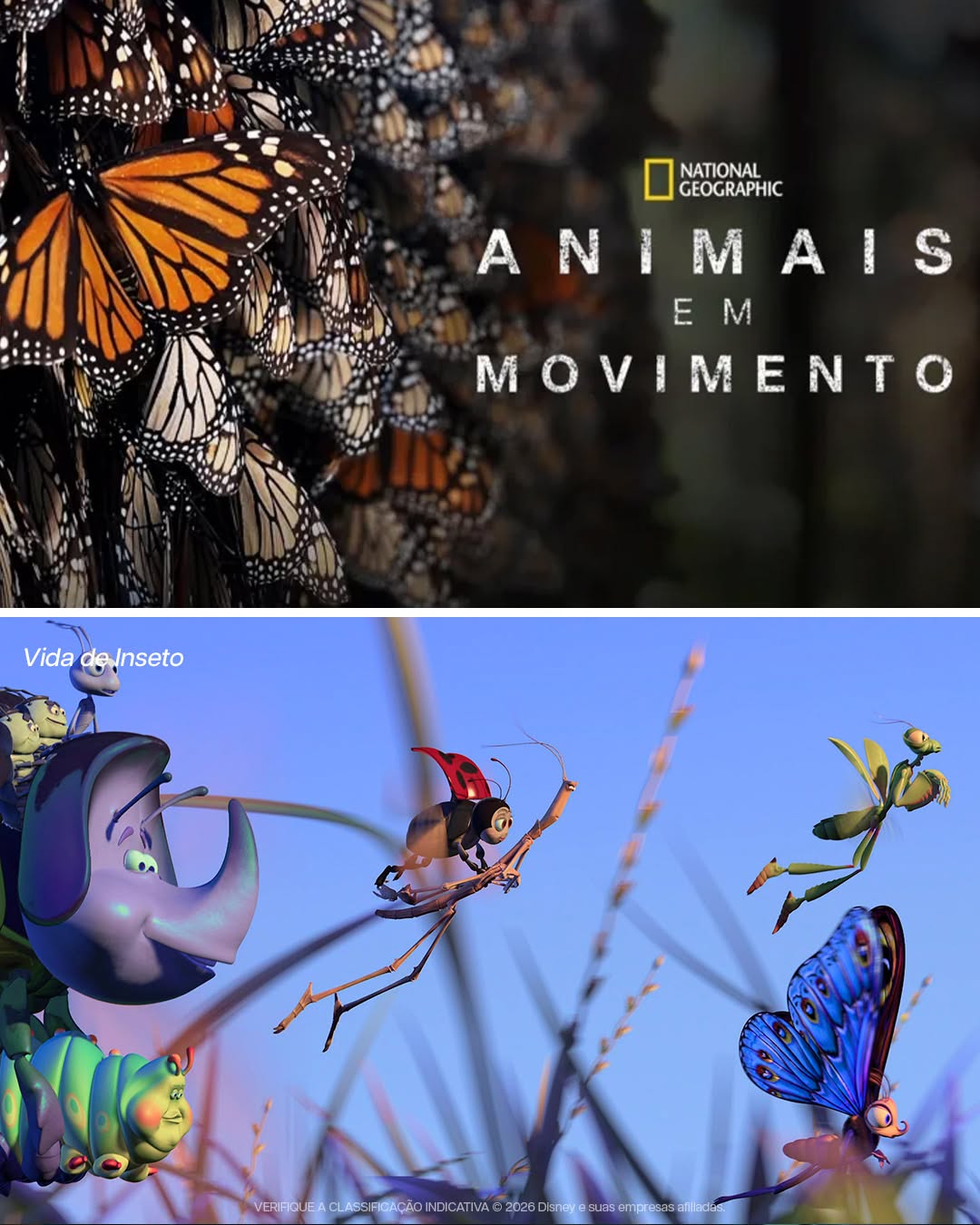 Post de National Geographic
