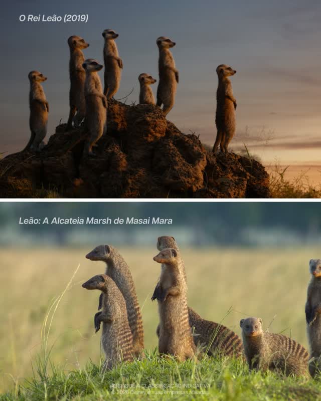 Post de National Geographic
