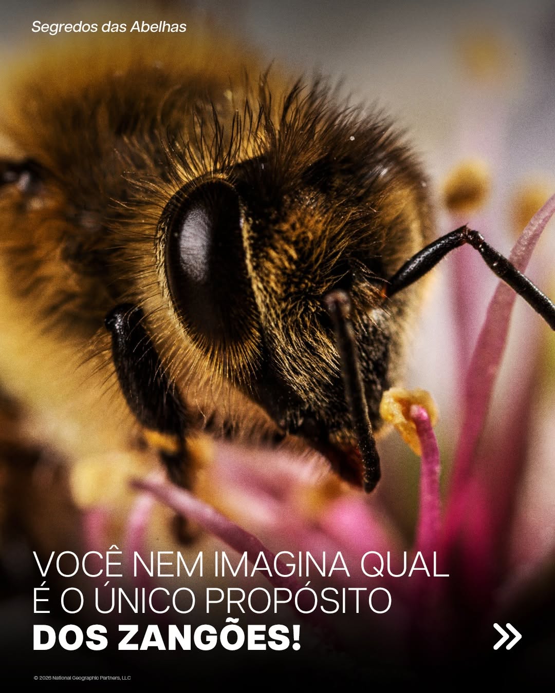 Post de National Geographic