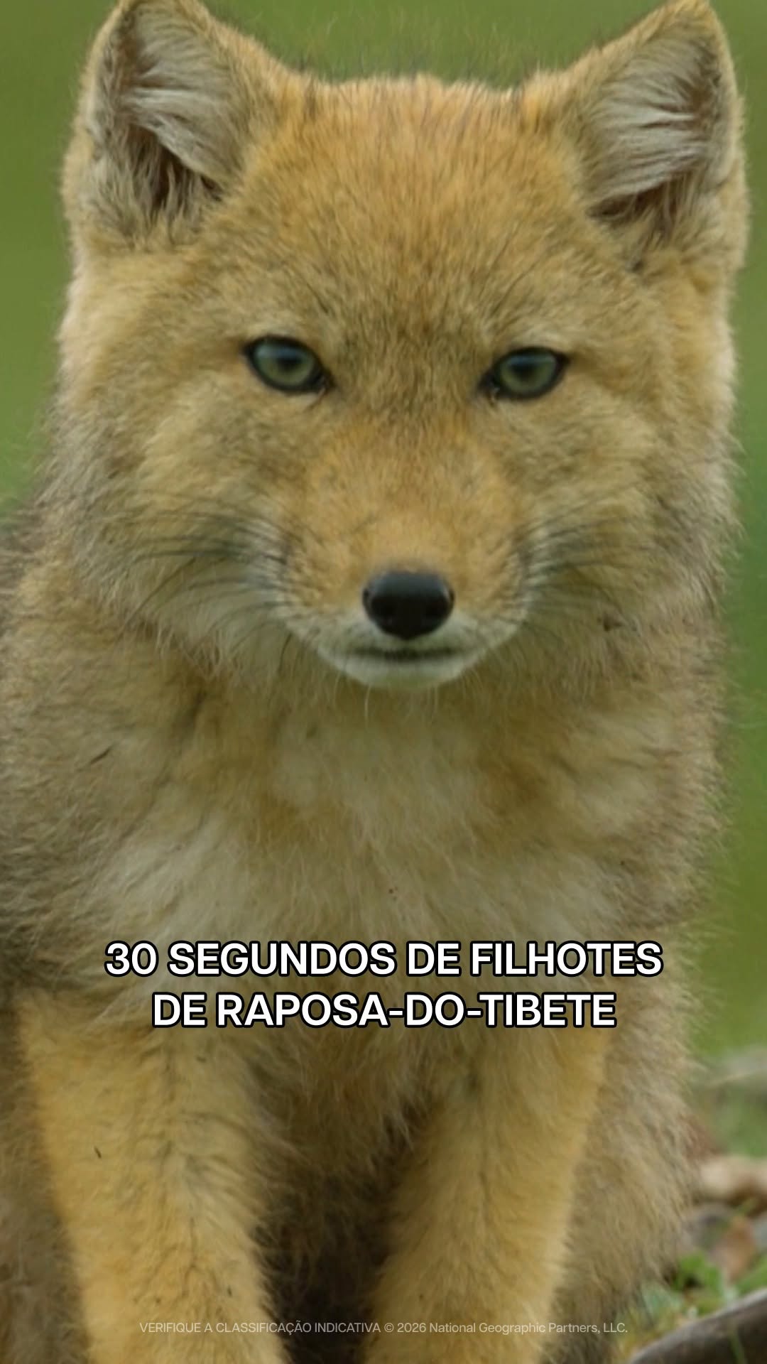 Post de National Geographic