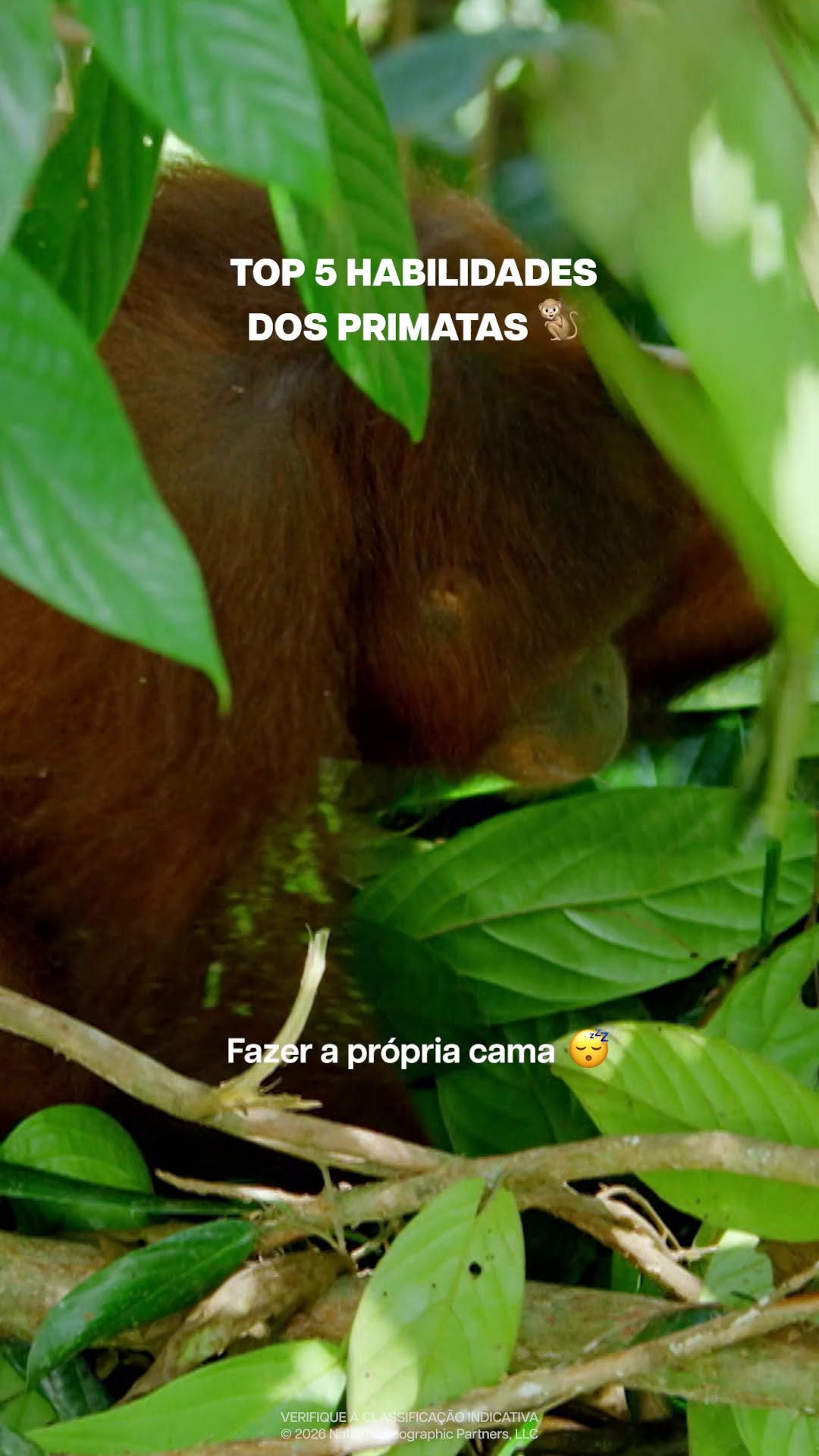 Post de National Geographic