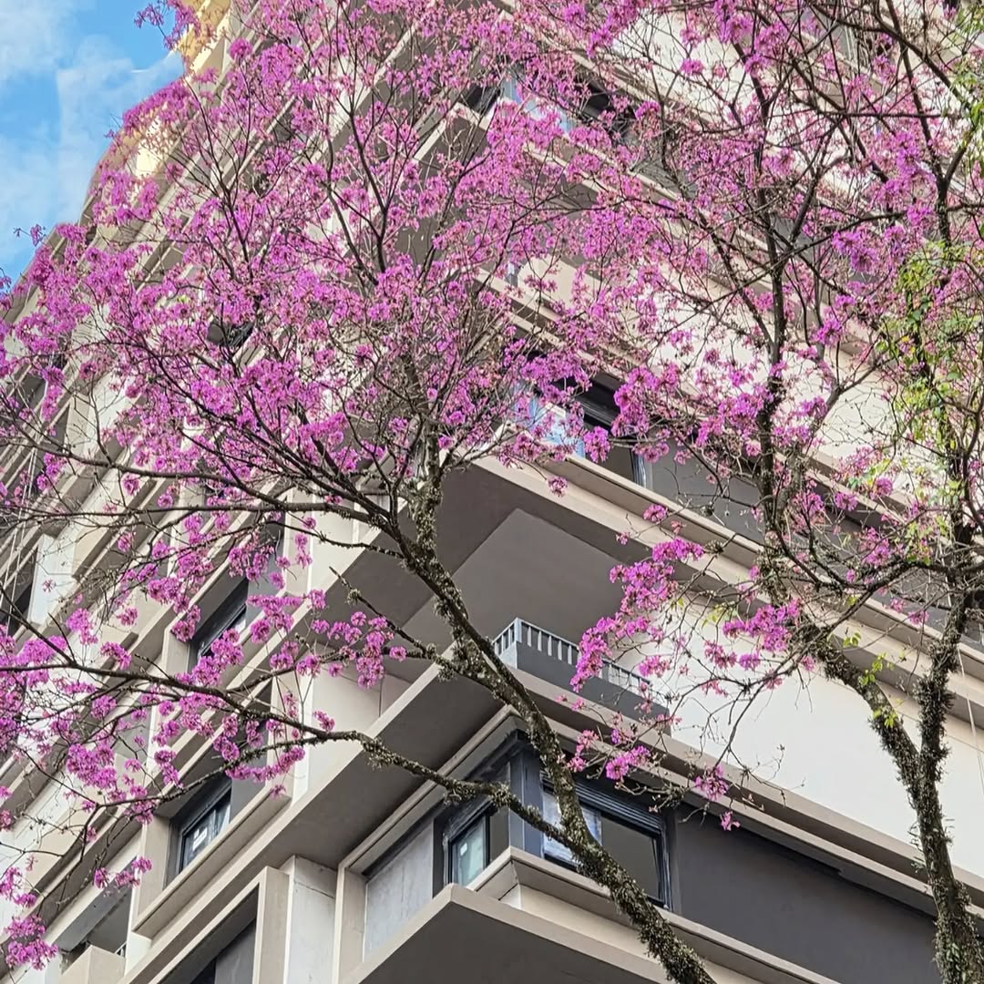 Post de Newproperties