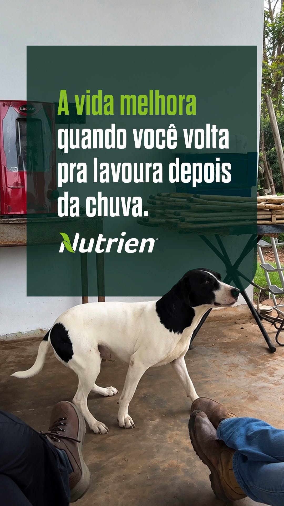 Post de Nutrien Soluções Agrícolas
