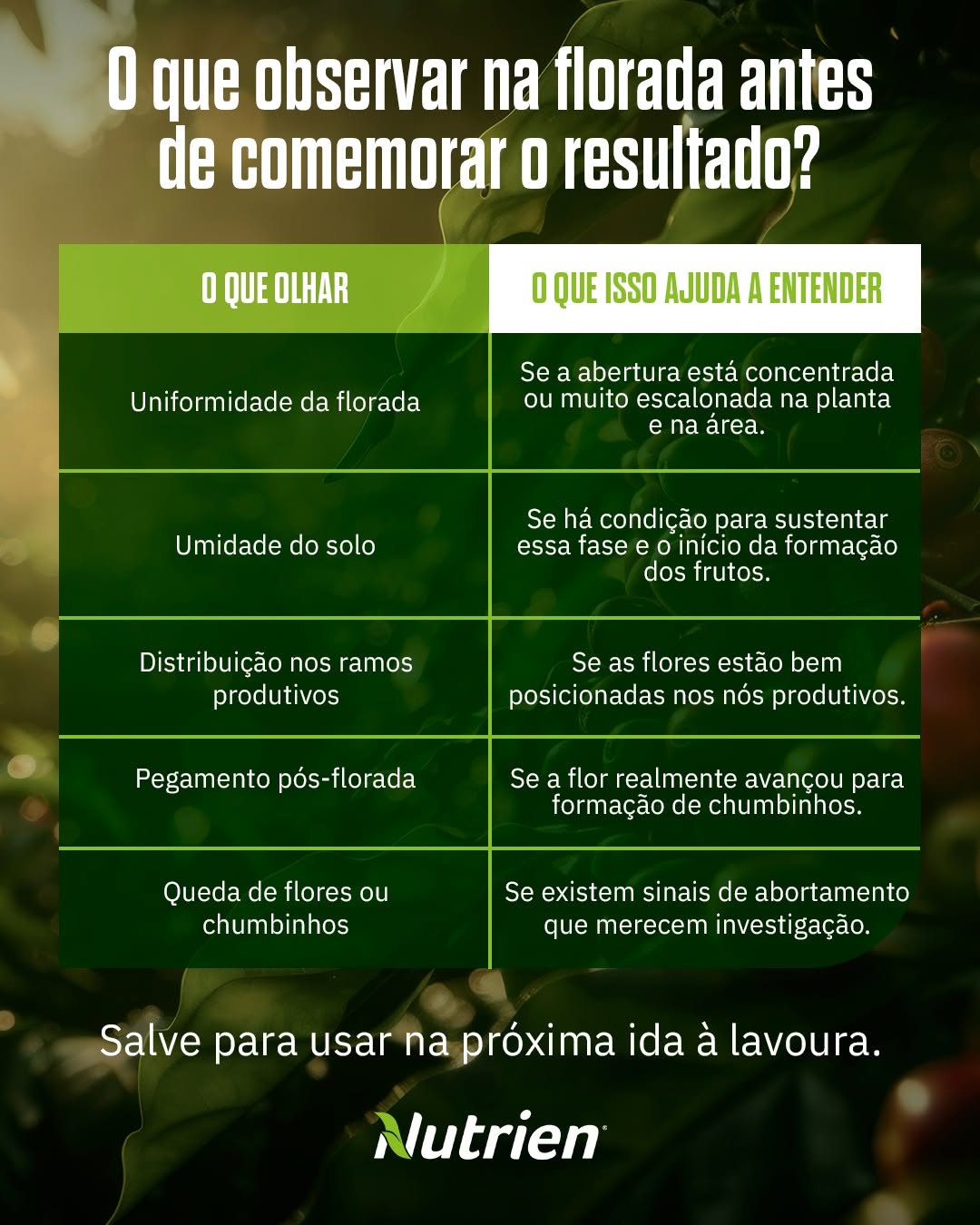 Post de Nutrien Soluções Agrícolas